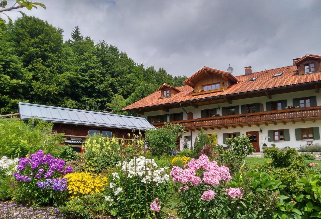 Haus Jaegerfleck, Ihre Ferienwohnungen Am Nationalpark Bayerischer Wald Spiegelau Exterior photo